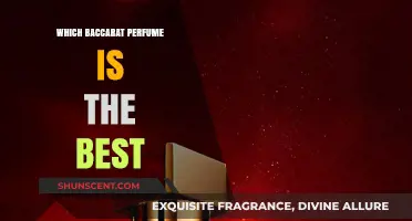 Best Baccarat Fragrances: Our Top Picks