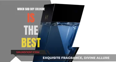 Bad Boy Colognes: The Best Scents for Men