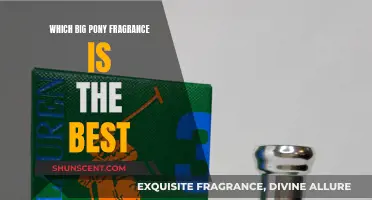 Big Pony Fragrances: Which Scent is the Best?