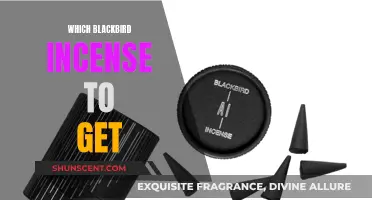 Blackbird Incense: Which Scents Should You Try First?