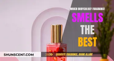 Bodycology Fragrance: Which Scents Smell Heavenly?