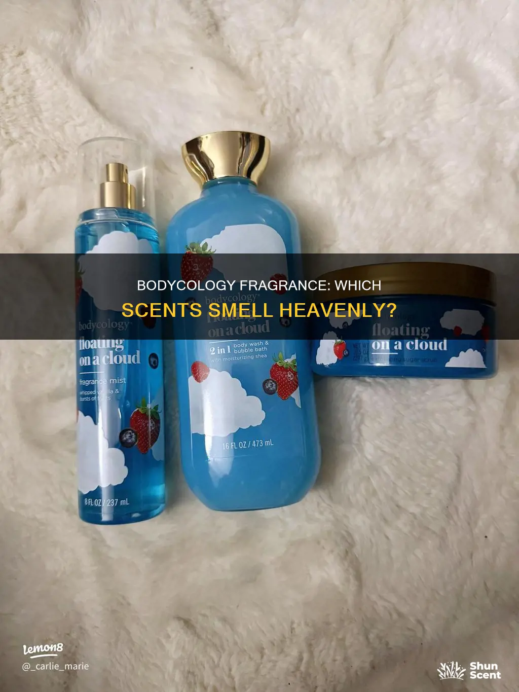 which bodycology fragrance smells the best
