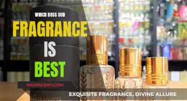 The Best of Boss Oud: Exploring the Top Fragrances