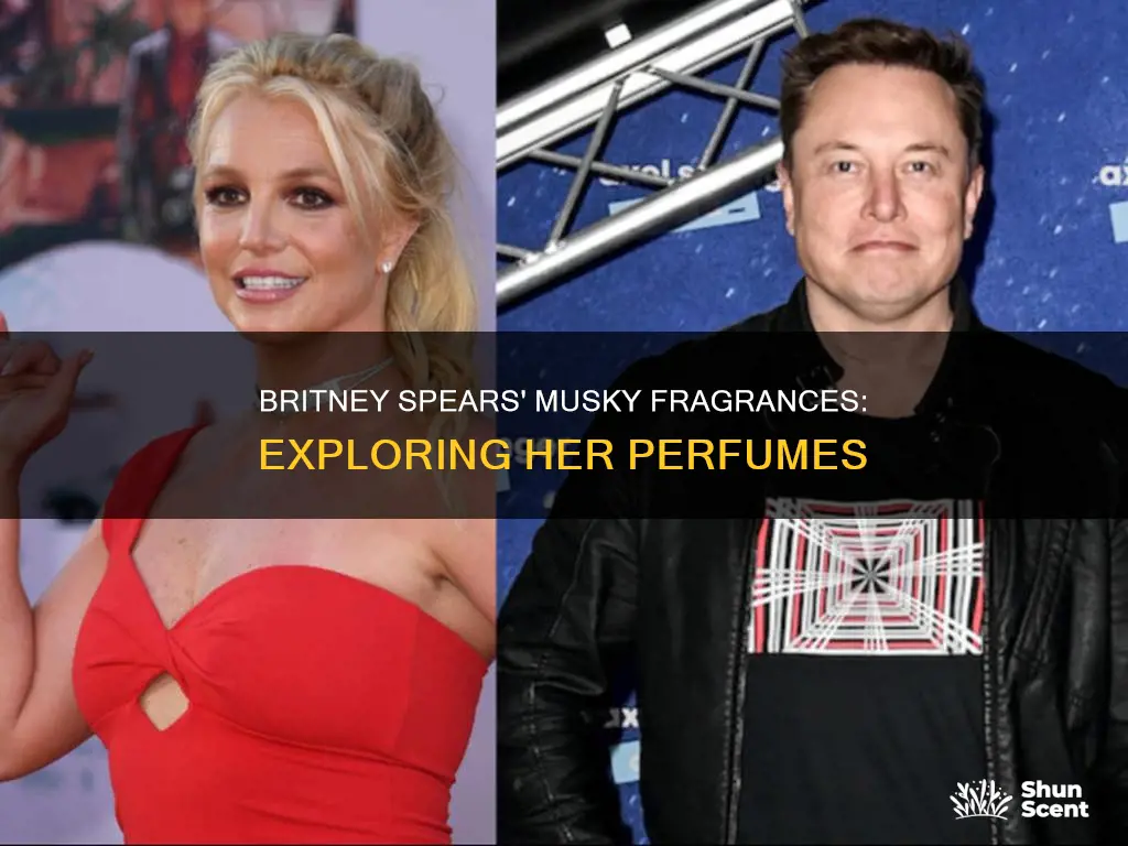 which britney spears perfume smells like musk