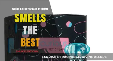 Britney Spears' Fragrances: Which Scents are the Best?