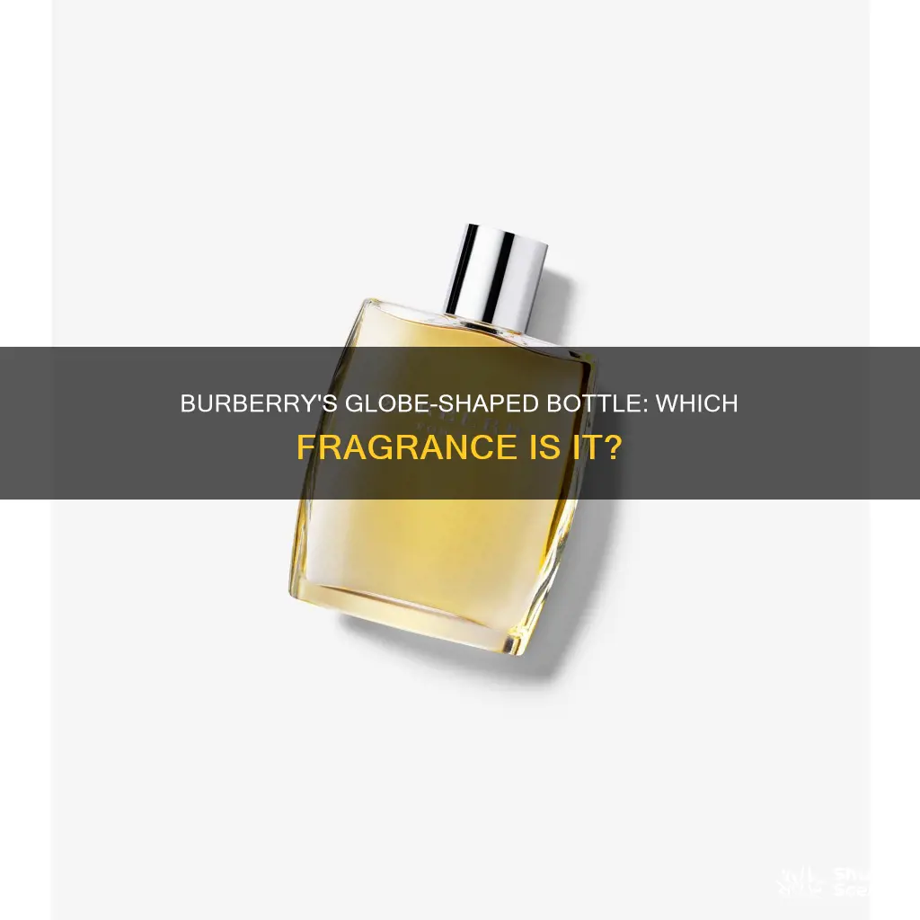 which burberry cologne had a globular bottle