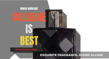 The Best Burberry Colognes for Men: Our Top Picks