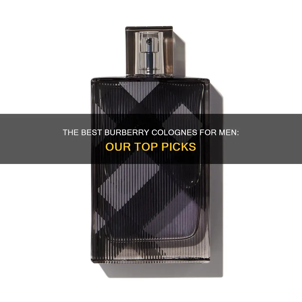 which burberry cologne is best