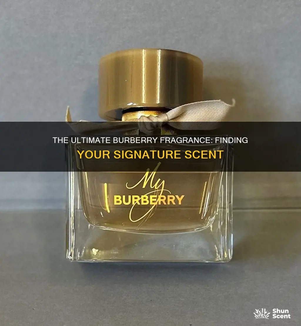 which burberry fragrance is the best
