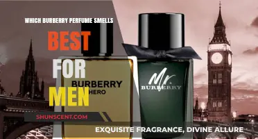 Best-Smelling Burberry Perfumes for Men
