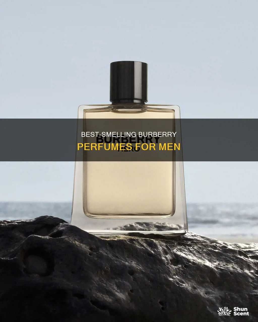 which burberry perfume smells best for men