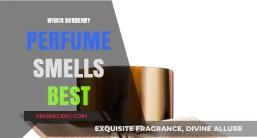 Discover the Best-Smelling Burberry Perfumes for You