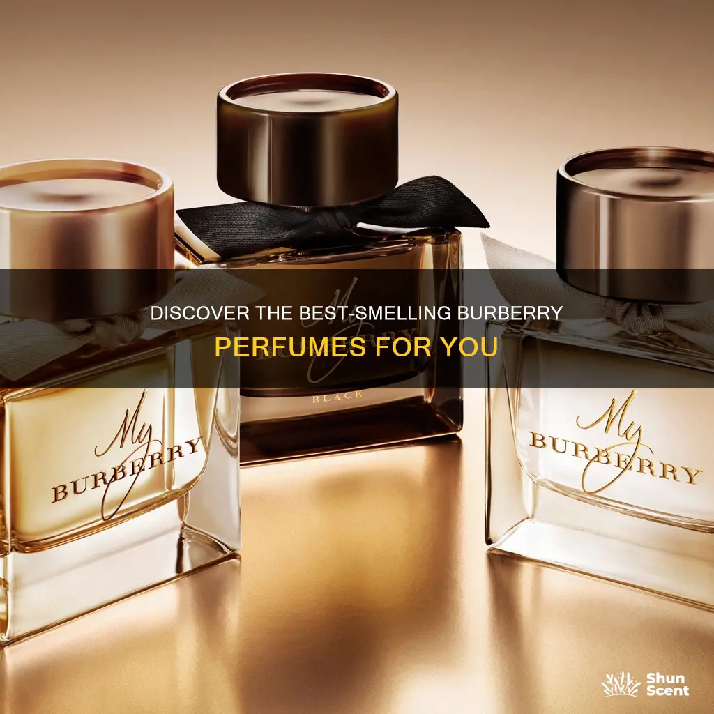 which burberry perfume smells best