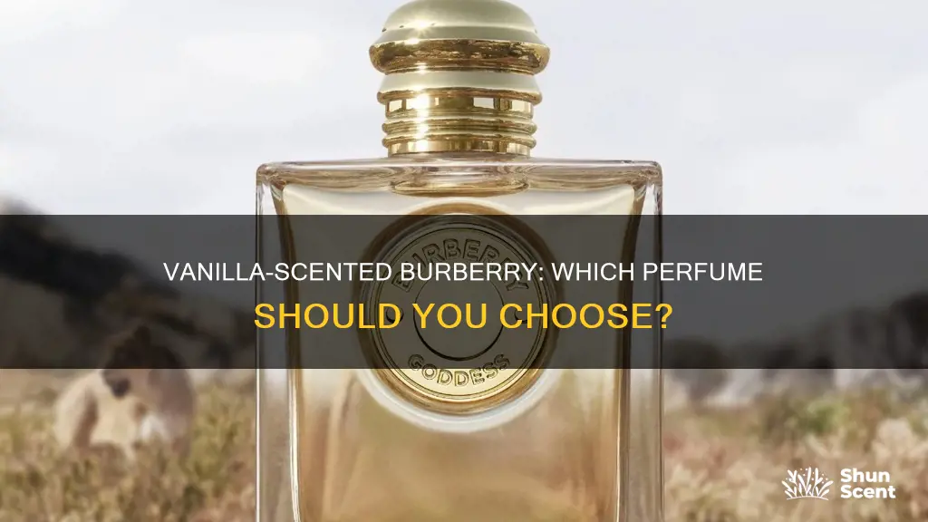 which burberry perfume smells like vanilla