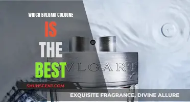 The Best Bvlgari Colognes: Our Top Picks