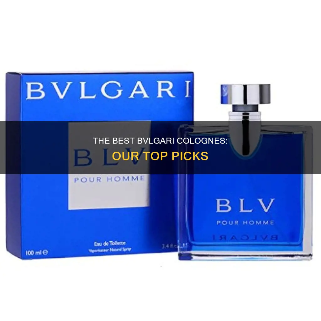 which bvlgari cologne is the best