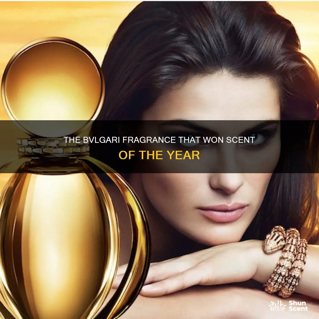 which bvlgari cologne won fragrance of the year