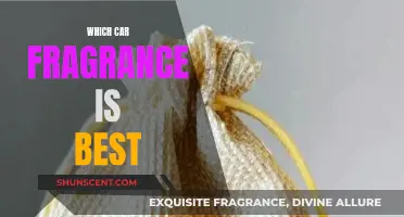 Car Fragrances: Finding the Perfect Scent for Your Vehicle