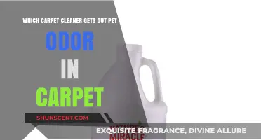 Ultimate Guide to Removing Pet Odors from Carpets: Top Cleaners Reviewed
