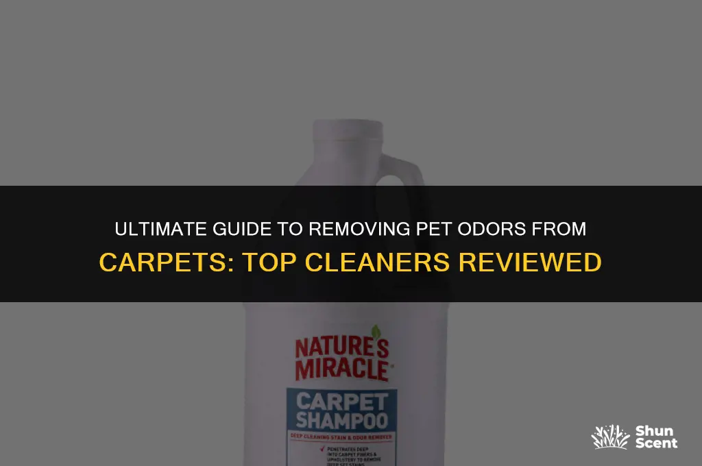 which carpet cleaner gets out pet odor in carpet