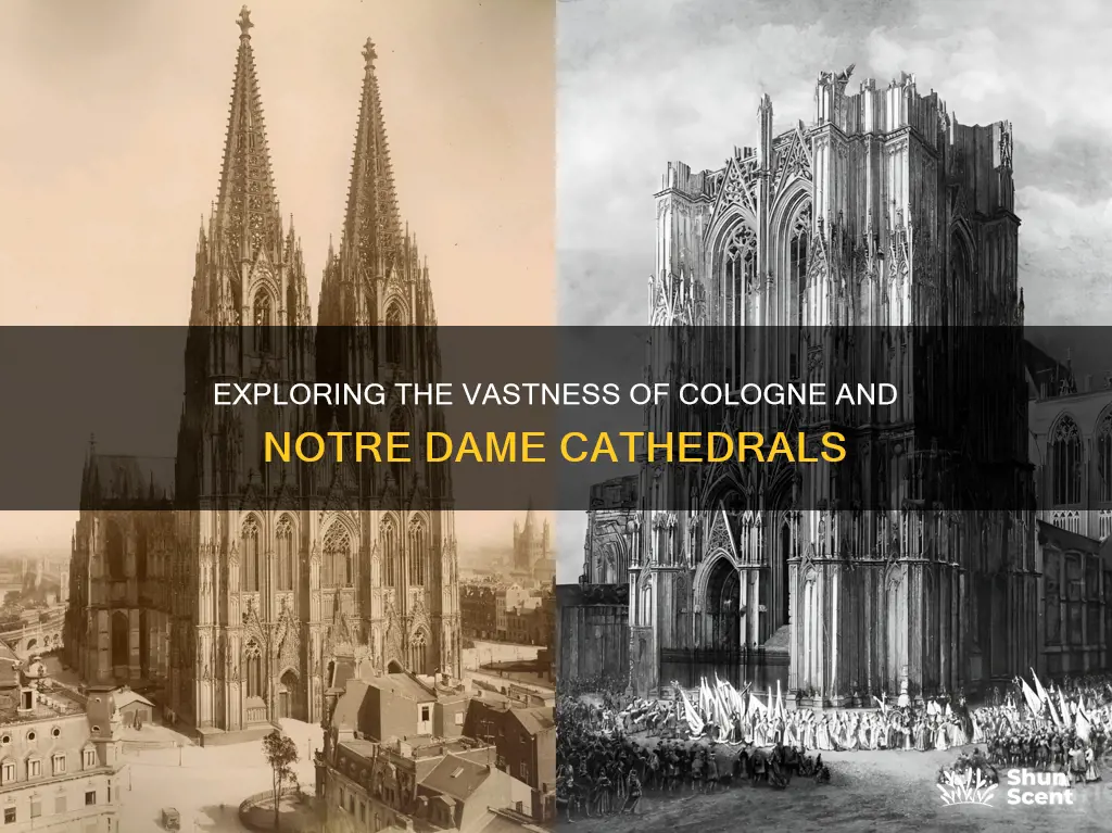 which cathedral is bigger cologne or notre dame