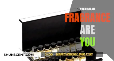 Finding Your Perfect Chanel Fragrance Match