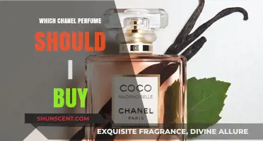 Chanel Perfume: Which Fragrance is Your Signature Scent?
