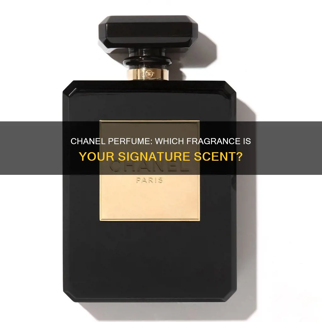 which chanel perfume should i buy