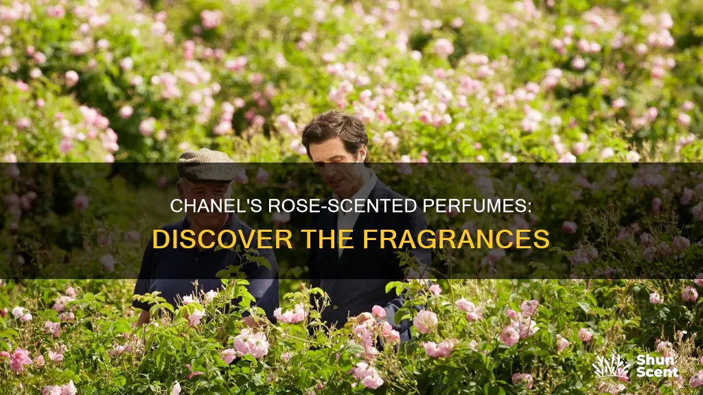 which chanel perfume smell like roses