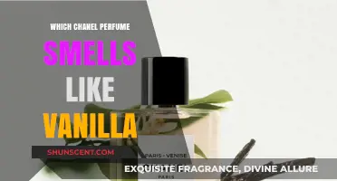Explore Chanel's Vanilla-Infused Perfumes: A Sensory Journey