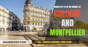 Finding the City Between Cologne and Montpellier