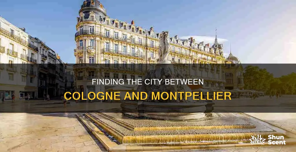 which city is in the middle of cologne and montpellier