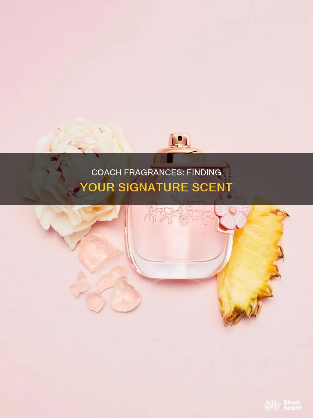 which coach fragrance is best