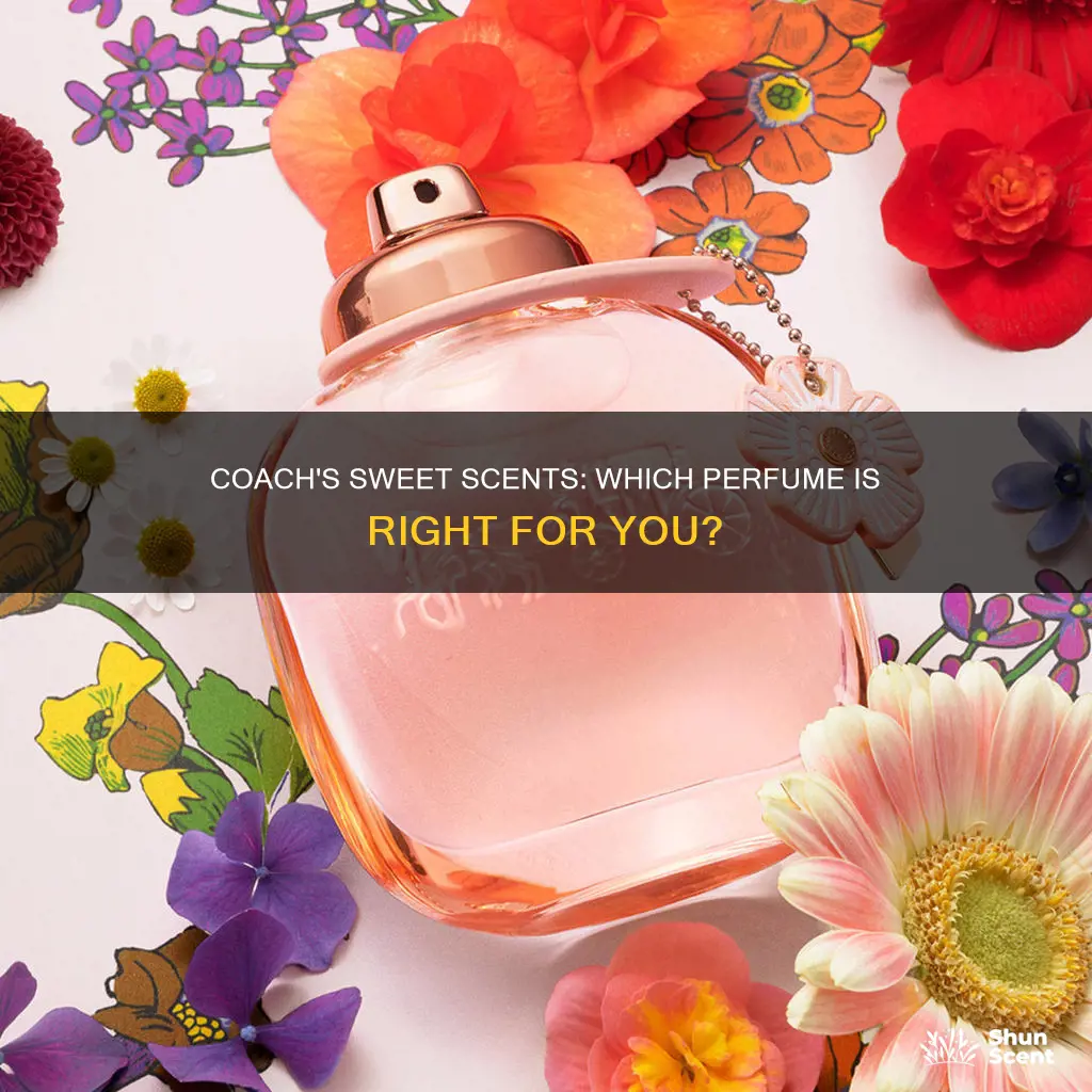 which coach perfume smells sweet