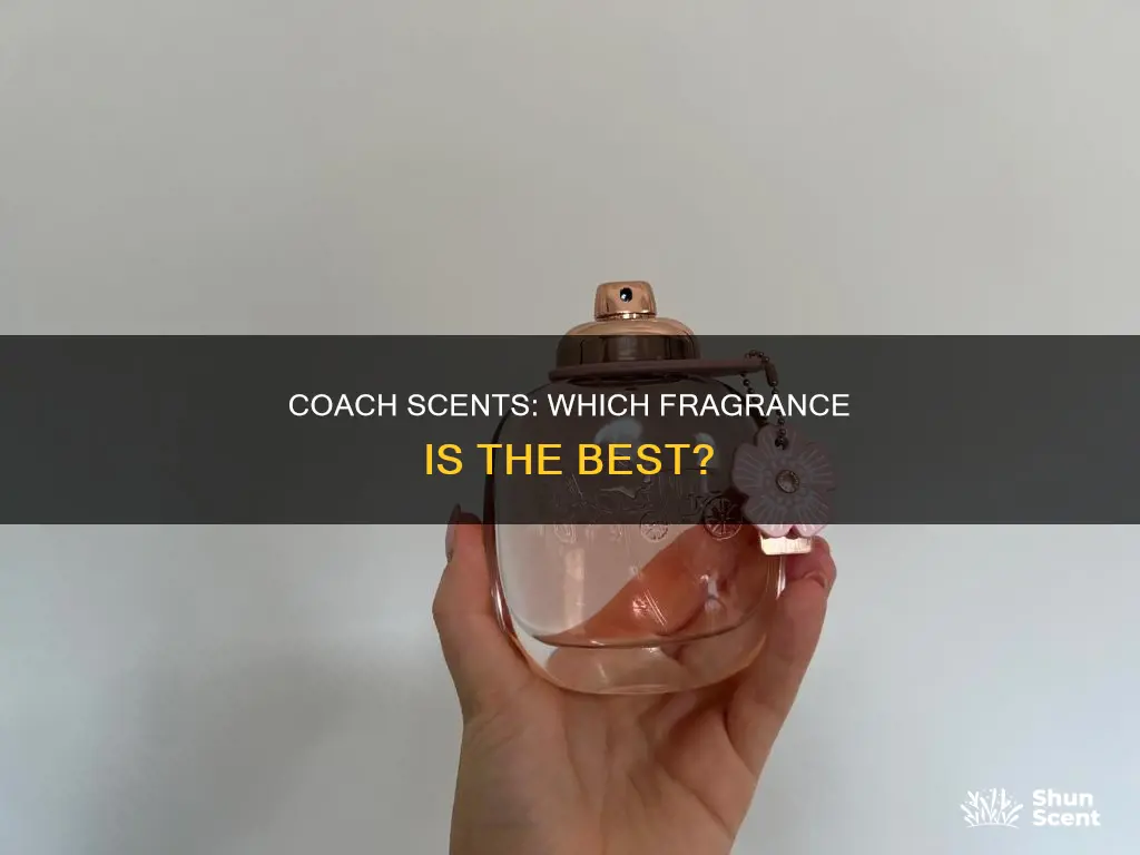 which coach perfume smells the best