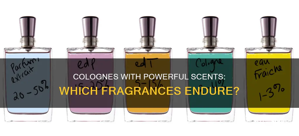 which cologne is stronger