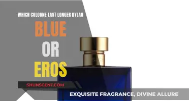 Long-Lasting Fragrances: Dylan Blue vs Eros