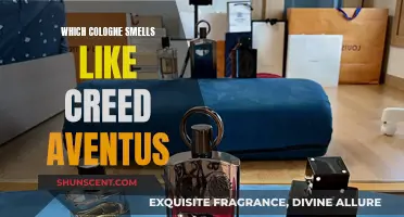 Creed Aventus: Discovering Similar Scents in the Fragrance World