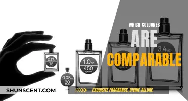 Colognes Compared: Exploring Similar Scents