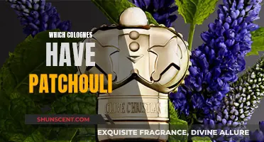 Explore the Best Patchouli Colognes for Men