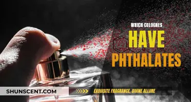 Colognes with Phthalates: What You Should Know