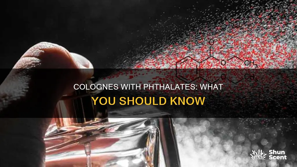 which colognes have phthalates