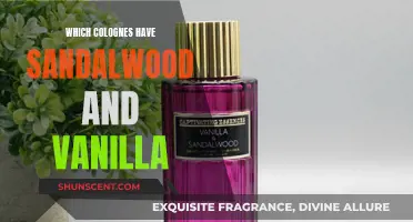 The Best Sandalwood and Vanilla Colognes for Men