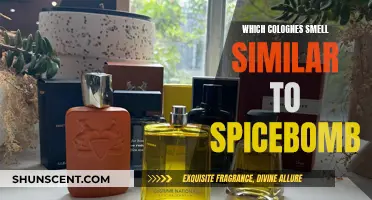 Exploring Spicy Colognes Similar to Spicebomb