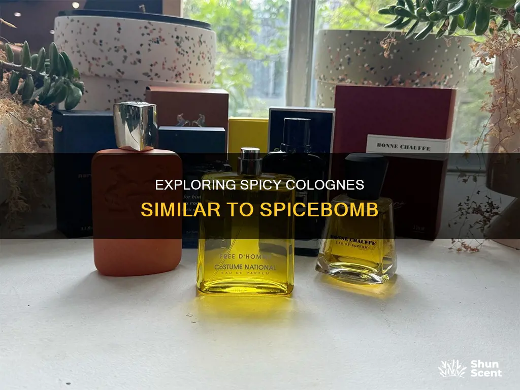 which colognes smell similar to spicebomb