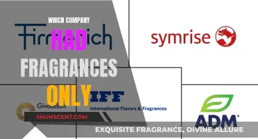 The Fragrance-Only Companies: A Sensory Experience