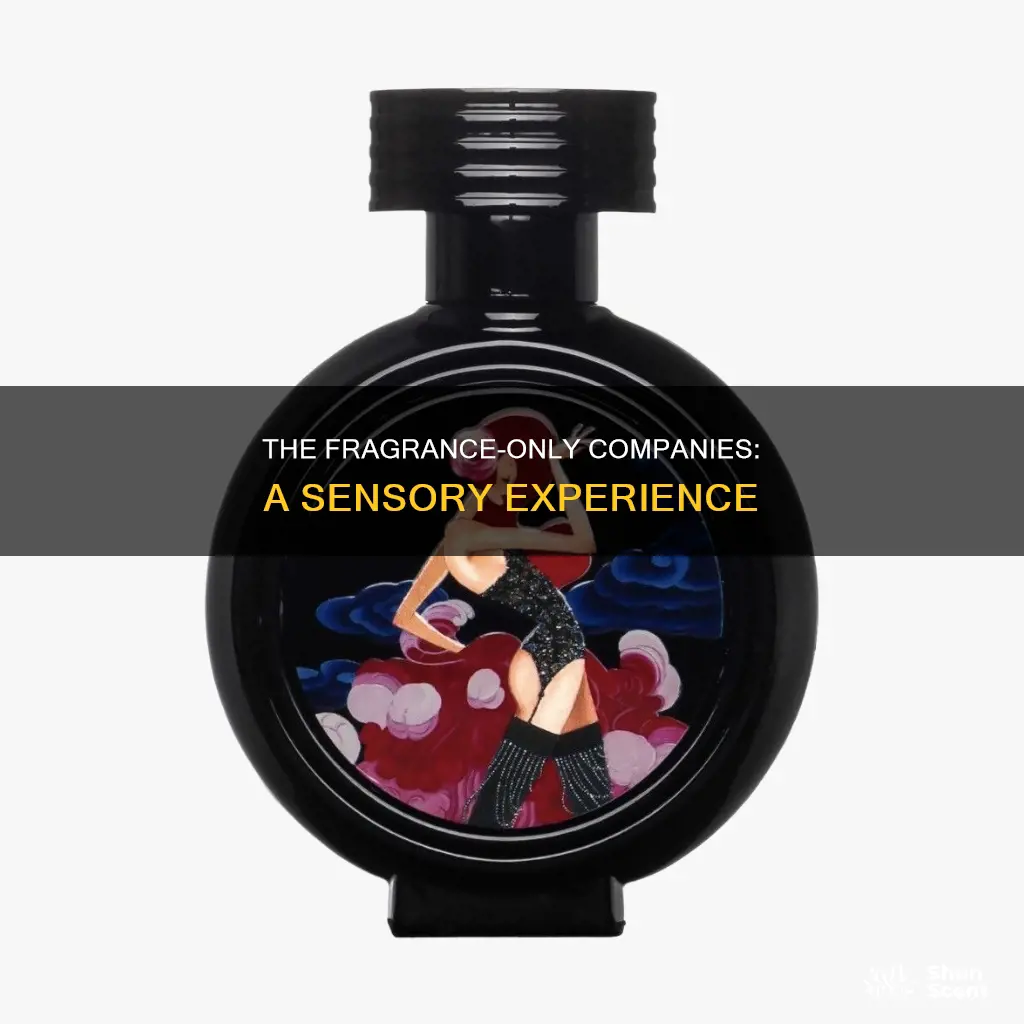 which company had fragrances only