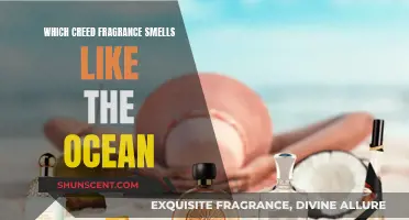 Creed Fragrances: Discovering Ocean-Inspired Scents