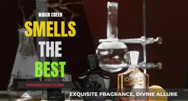 Creed Scents: The Best Fragrances for Men and Women