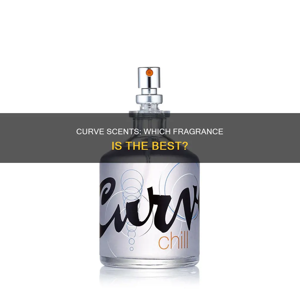 which curve cologne is the best